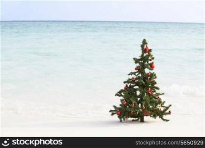 Christmas Tree On Beautiful Tropical Beach