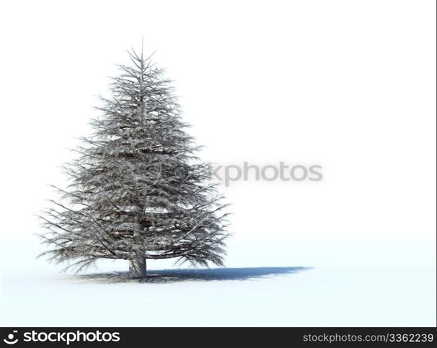 christmas tree on white background