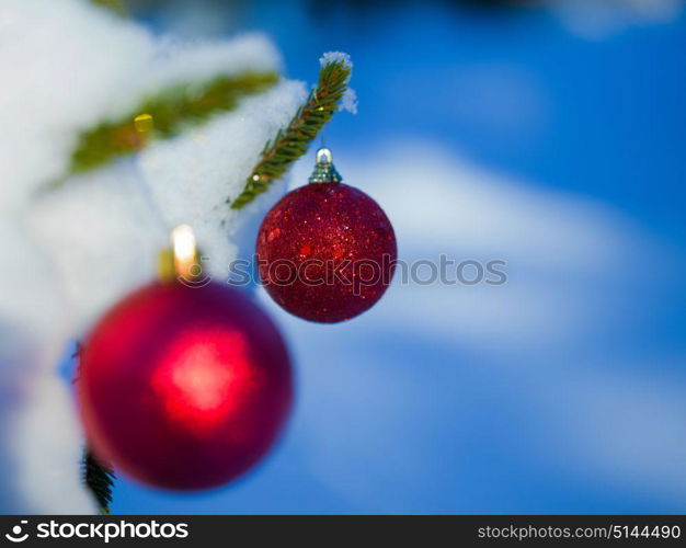 christmas tree red ball decoration with real snow