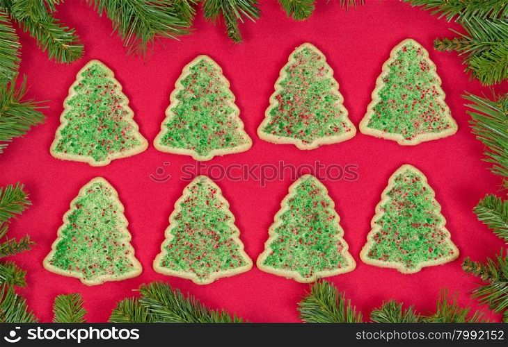 Christmas tree shaped cookies organized on red background and evergreen border.