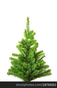 Christmas tree without decoration. Isolated on white background