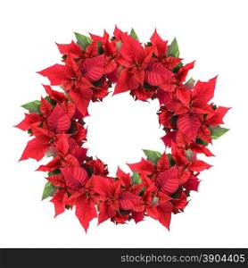 christmas wreath from poinsettia