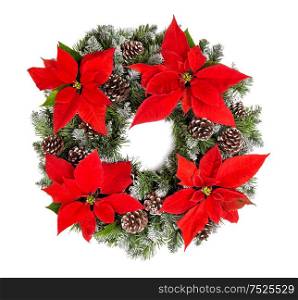 Christmas wreath with red poinsettia flowers isolated on white background