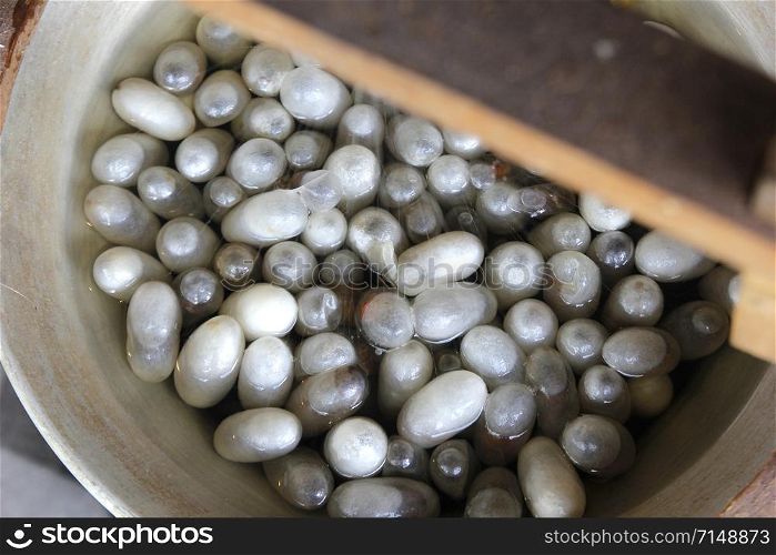 chrysalis white silkworm cocoons in pot, The process of making silk