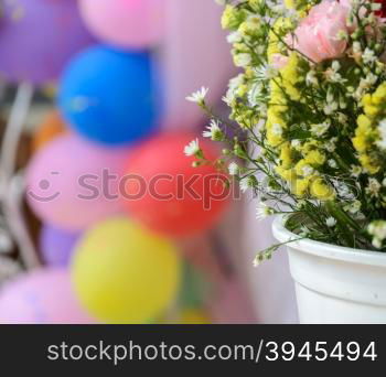 Chrysanthemum ornamental in white flowerpot with balloon background.