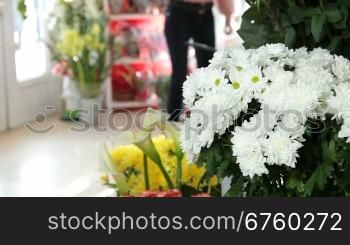 Chrysanthemums in flower shop, in the background female customer chooses a bouquet