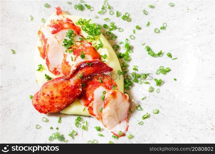Chunks of cooked cut lobster meat served on a plate. High quality photo. Chunks of cooked cut lobster meat served on a plate.