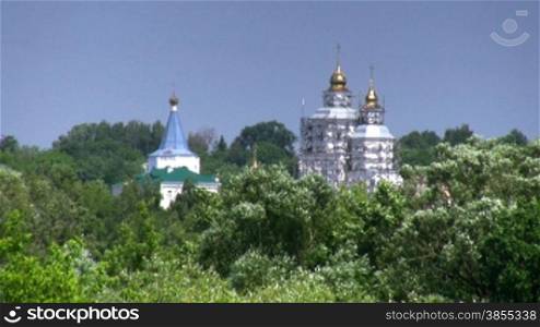 Church domes in forest.