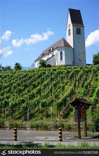 Church with high tower and vineyard in Lichtenstein