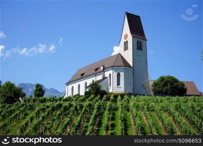 Church with tower on the vineyard in Lichtenstein