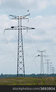 Ciconnia nesting on a power line