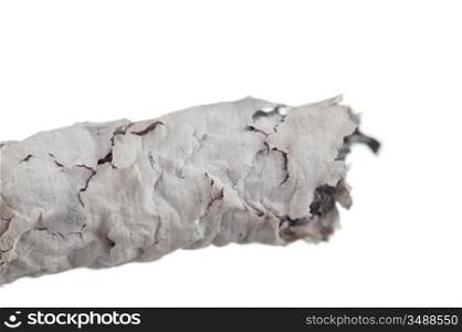 cigarette ashes macro isolated on white background