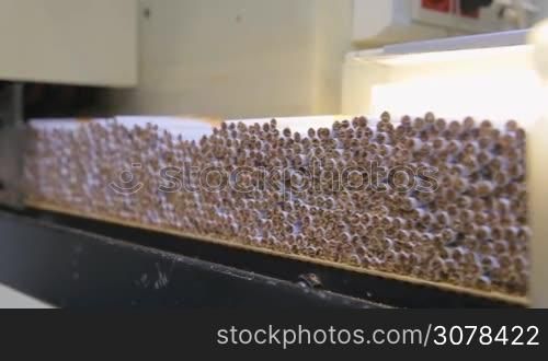 Cigarette production line