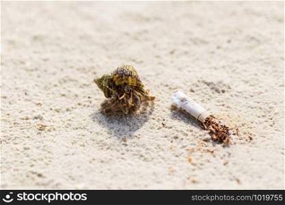Cigarettes in the sand that affect the ecosystem.