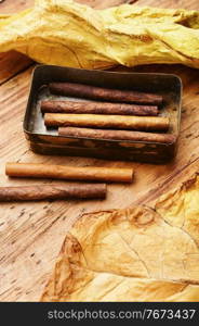 Cigarillos and dry tobacco leaf on wooden background. Group cigars and tobacco leaves