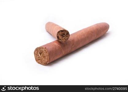 Cigars in Humidor