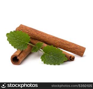 Cinnamon sticks and fresh bergamot mint leaf isolated on white background