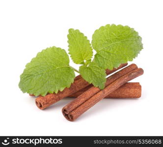 Cinnamon sticks and fresh mint leaf isolated on white background