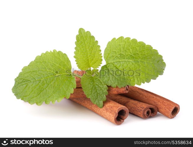 Cinnamon sticks and fresh mint leaf isolated on white background