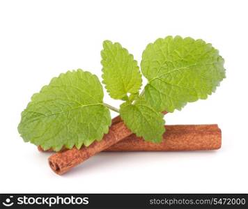 Cinnamon sticks and fresh mint leaf isolated on white background