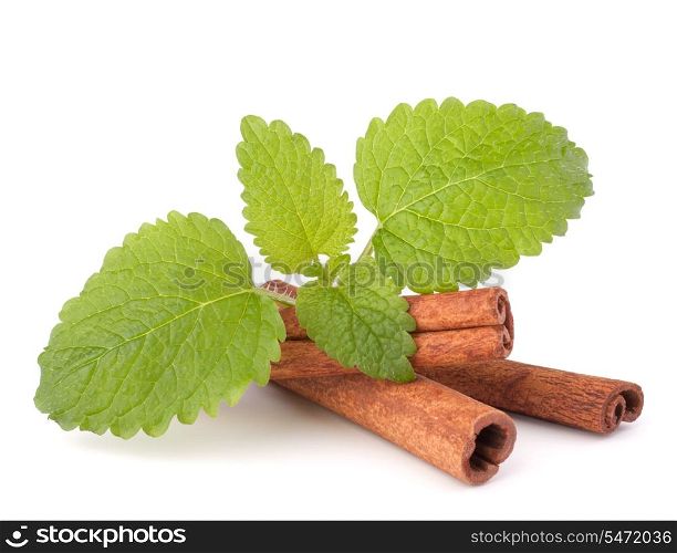 Cinnamon sticks and fresh mint leaf isolated on white background