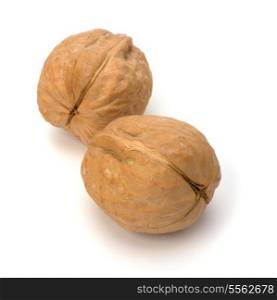 Circassian walnut isolated on the white background