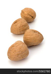 Circassian walnut isolated on the white background