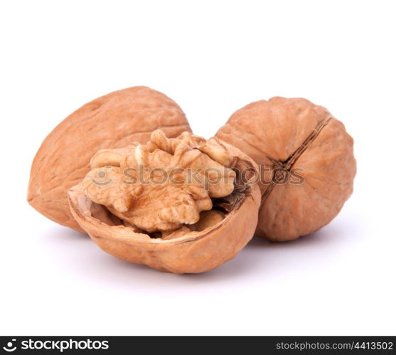 Circassian walnut isolated on white background