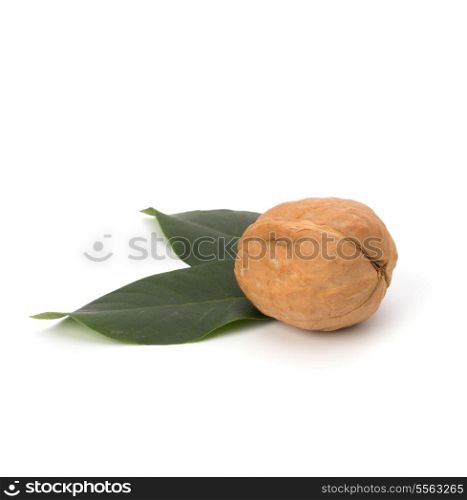 Circassian walnut isolated on white background