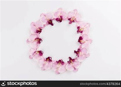 circle from orchids white