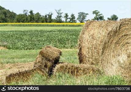 Circular and rectangular hay bales in grassy, sunny farm fields in Northern New Jersey, Hunterdon County. Crop of sunflowers in distant field.