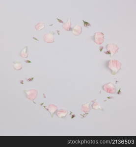 circular frame made with petals isolated white background