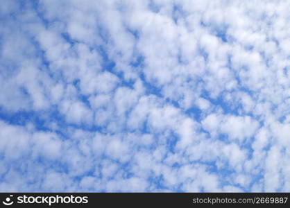 Cirrocumulus