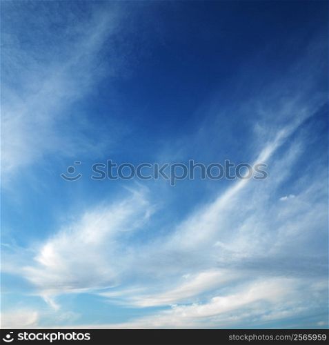 Cirrus cloud formation in blue sky.