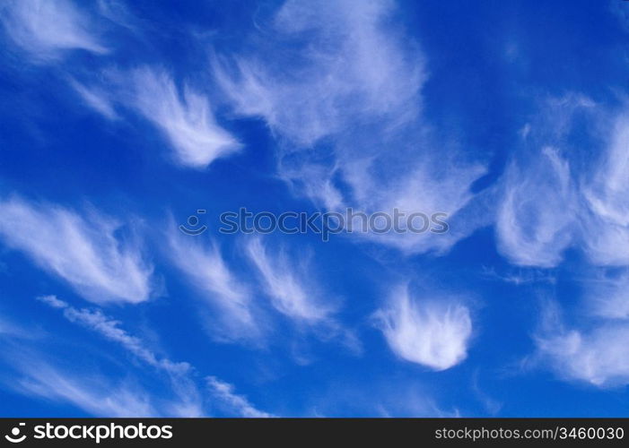 Cirrus Clouds