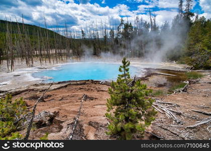 Cistern Spring Geyser in Yellowstone National Park.