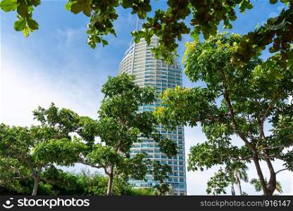 Cities in nature. Tall building with sky background and tree foreground. Architect and nature concept.