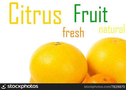 Citrus fruit on a white background