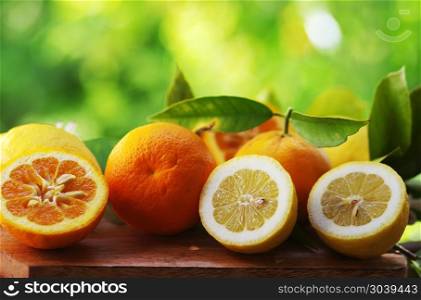 Citrus Fruit with leaves on green background