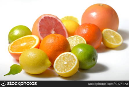 citrus fruits isolated on white background