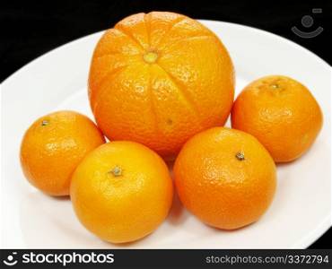 Citrus fruits. Orange and clementine fruits gathered on white plate towards black background