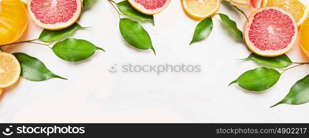 Citrus slices of orange,lemon and grapefruit with green leaves, banner for website