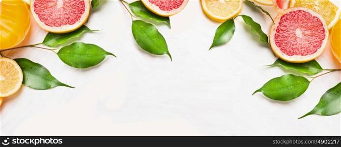 Citrus slices of orange,lemon and grapefruit with green leaves, banner for website