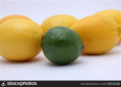 Citruses: lime and lemon