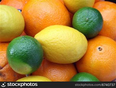Citruses: lime, lemon and orange