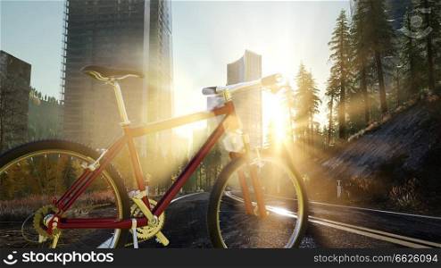 City bicycle on the road at sunset