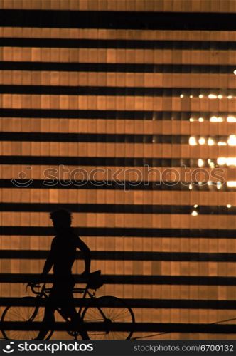 City Bicyclist