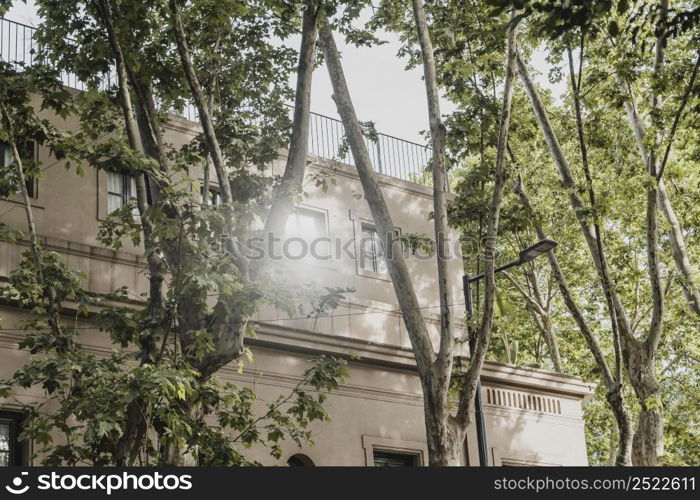 city building trees with sunlight