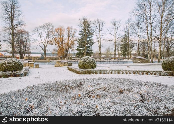 City Cesis, Latvia. In winter, the city park with greenery and snow. 30.11.2019
