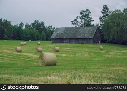 City Cesis, Latvia Republic. Overcast day, meadow hay rolls and trees around. July 7. 2019 Travel photo.